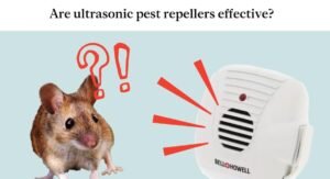 Do Mice Sound Repellents Work?