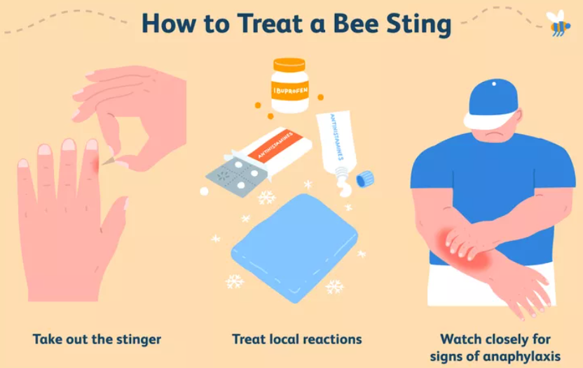 Bee String Reactions